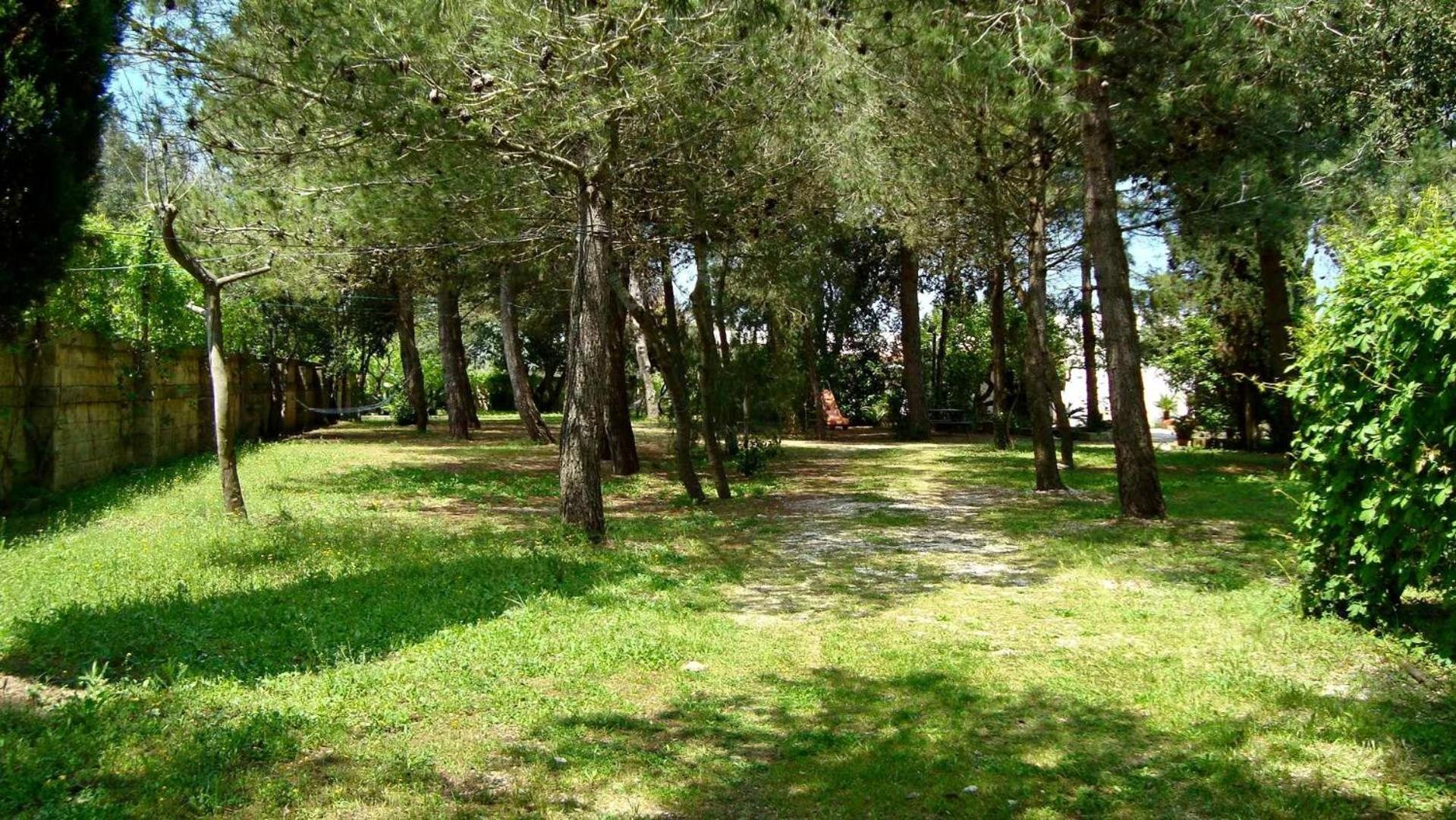 Agriturismo Vignavecchia Vignacastrisi Bagian luar foto