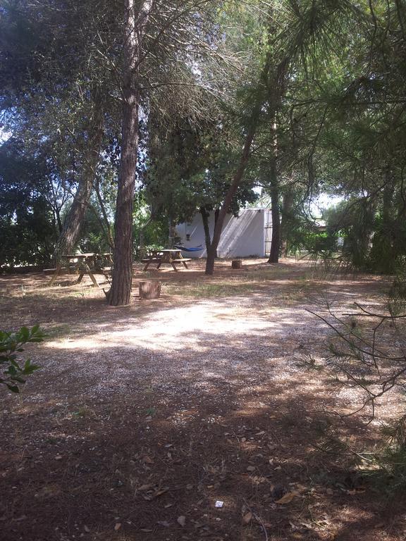 Agriturismo Vignavecchia Vignacastrisi Bagian luar foto